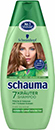 Schauma Shampoo oder Spülung Schauma Shampoo oder Spülung