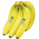 EDEKA Bio WWF Bananen