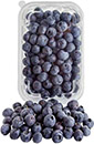 Heidelbeeren, 500-g-Schale Heidelbeeren, 500-g-Schale