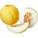 Honigmelonen Honigmelonen