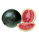 Miniwassermelonen Miniwassermelonen